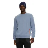 Buzo celeste de algodón con cuello redondo y logo de la marca en la manga.