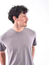 Remera de cuello en V, manga corta y corte regular, confeccionada en tejido de algodón liso.
