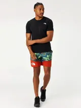 Remera gris de manga corta The North Face Wander, con logo estampado en el pecho.