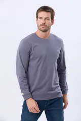 Remera manga larga lisa, color gris claro, con cuello redondo y logo bordado en el pecho.