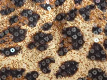 Top halter con estampado animal print de leopardo y espalda descubierta.