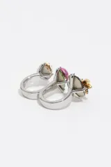 Anillo doble de metal plateado con diseño decorativo de insectos, incluyendo una libélula con cristales oscuros, un escarabajo rosa sobre una hoja verde y una mariquita esmaltada.