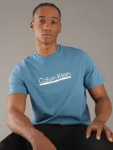 Remera de algodón de corte regular, color azul, con cuello redondo y logo de la marca estampado en el pecho.