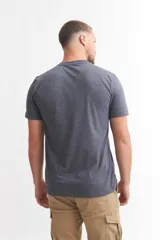 Camiseta gris de manga corta con estampado de una araña roja en el pecho.