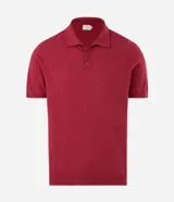 Polo de manga corta confeccionada en tejido de punto texturizado, con cuello polo estructurado y cierre frontal de tres botones. Presenta bordes acanalados en mangas y ruedo.
