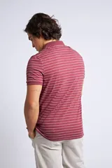 Remera tipo polo de manga corta, color gris con rayas horizontales finas en color oscuro. Presenta cuello clásico con botones y logo bordado en el pecho.