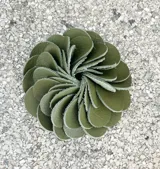 Broche con forma de flor color verde oliva, realizado artesanalmente en Italia con pétalos de cuero superpuestos. Se aplica con imán.