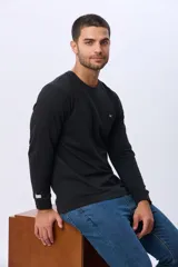 Remera manga larga lisa, color gris claro, con cuello redondo y logo bordado en el pecho.