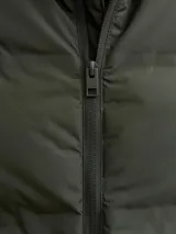 Chaleco acolchado de diseño puffer con cuello alto y cierre frontal con cremallera. Presenta un acabado liso y minimalista, ideal para capas de abrigo.