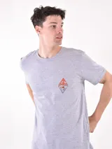 Remera gris con estampado pequeño en el pecho que incluye una montaña, un sol y olas.