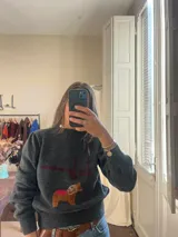 Sweater de punto color gris oscuro con cuello redondo y mangas largas. Presenta un diseño bordado en el frente con texto en color bordó y una figura de un perro salchicha en tonos marrones y rosados.